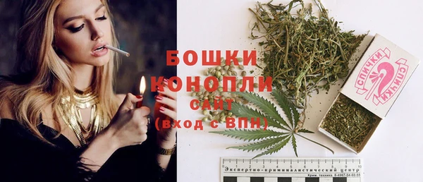 молекула духа Балахна