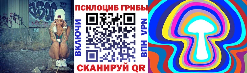 omg   Ступино  Галлюциногенные грибы мицелий 